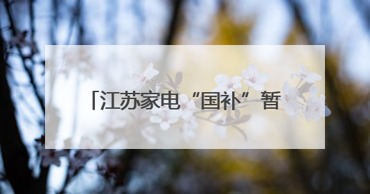 江苏家电“国补”暂停？省商务厅：部分平台在整改或升级，调整后可正常使用