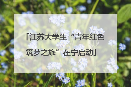 江苏大学生“青年红色筑梦之旅”在宁启动