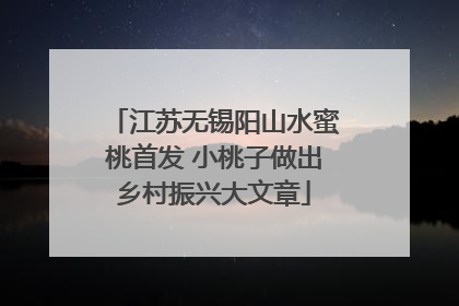 江苏无锡阳山水蜜桃首发 小桃子做出乡村振兴大文章