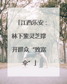 江西乐安：林下紫灵芝撑开群众“致富伞”