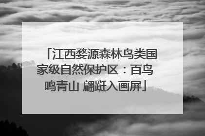 江西婺源森林鸟类国家级自然保护区：百鸟鸣青山 翩跹入画屏