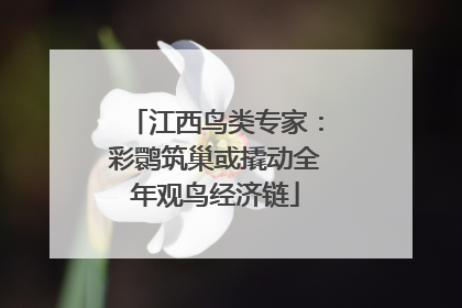 江西鸟类专家：彩鹮筑巢或撬动全年观鸟经济链