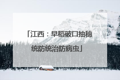 江西：早稻破口抽穗 统防统治防病虫