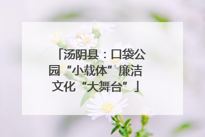 汤阴县：口袋公园“小载体”廉洁文化“大舞台”
