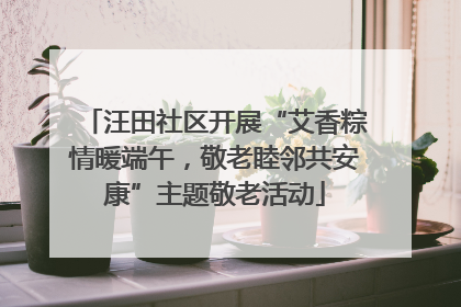 汪田社区开展“艾香粽情暖端午，敬老睦邻共安康”主题敬老活动