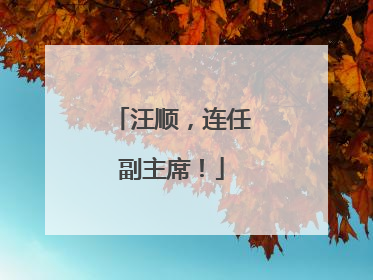 汪顺，连任副主席！