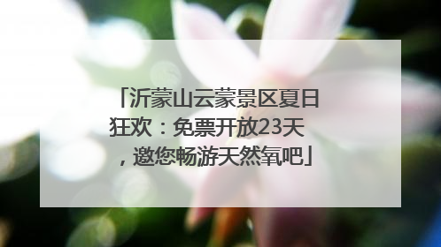 沂蒙山云蒙景区夏日狂欢：免票开放23天，邀您畅游天然氧吧