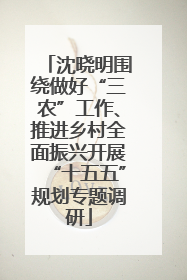 沈晓明围绕做好“三农”工作、推进乡村全面振兴开展“十五五”规划专题调研
