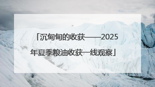 沉甸甸的收获——2025年夏季粮油收获一线观察