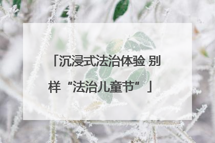 沉浸式法治体验 别样“法治儿童节”