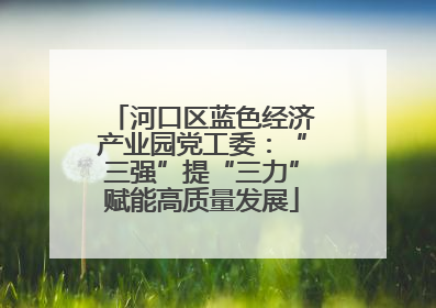 河口区蓝色经济产业园党工委：“三强”提“三力”赋能高质量发展