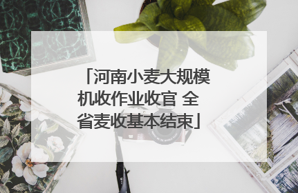 河南小麦大规模机收作业收官 全省麦收基本结束
