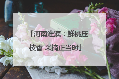 河南淮滨：鲜桃压枝香 采摘正当时