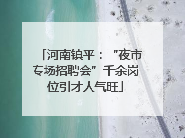 河南镇平：“夜市专场招聘会”千余岗位引才人气旺