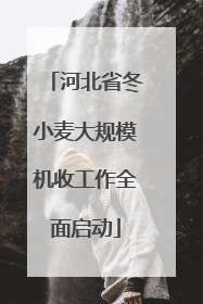 河北省冬小麦大规模机收工作全面启动