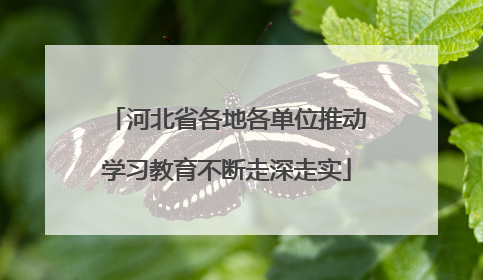 河北省各地各单位推动学习教育不断走深走实