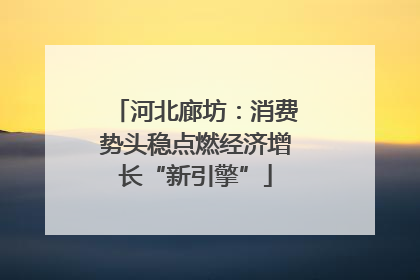河北廊坊：消费势头稳点燃经济增长“新引擎”