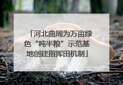 河北曲周为万亩绿色“吨半粮”示范基地创建指挥田机制