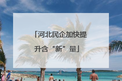 河北民企加快提升含“新”量