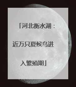 河北衡水湖：近万只夏候鸟进入繁殖期