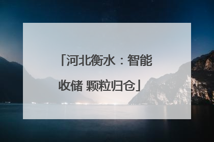河北衡水：智能收储 颗粒归仓
