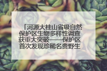 河源大桂山省级自然保护区生物多样性调查获重大突破——保护区首次发现珍稀名贵野生干巴菌与钝尾两头蛇