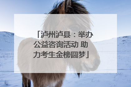 泸州泸县：举办公益咨询活动 助力考生金榜圆梦