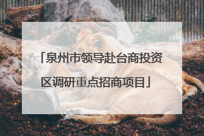 泉州市领导赴台商投资区调研重点招商项目