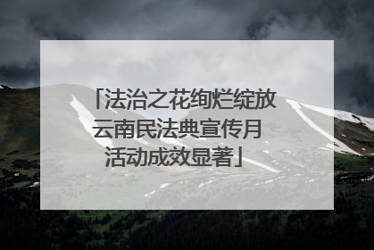 法治之花绚烂绽放 云南民法典宣传月活动成效显著