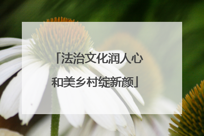 法治文化润人心 和美乡村绽新颜