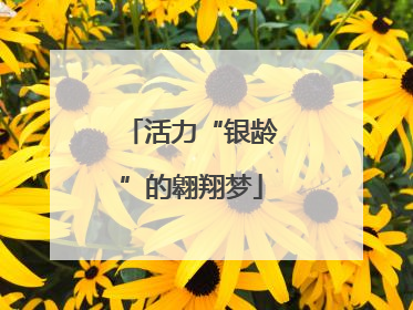 活力“银龄”的翱翔梦