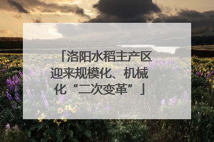 洛阳水稻主产区迎来规模化、机械化“二次变革”
