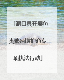 洞口县开展鱼类繁殖期护渔专项执法行动