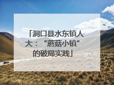 洞口县水东镇人大：“蘑菇小镇”的破局实践