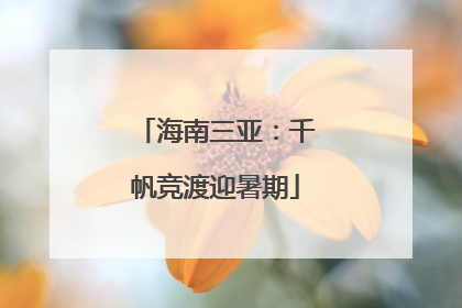 海南三亚：千帆竞渡迎暑期