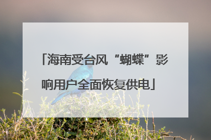 海南受台风“蝴蝶”影响用户全面恢复供电
