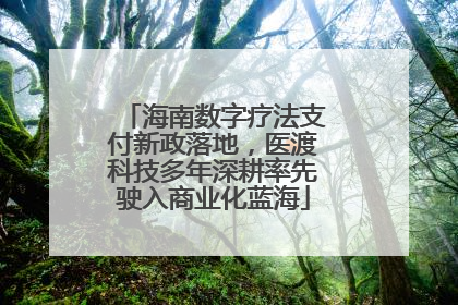 海南数字疗法支付新政落地，医渡科技多年深耕率先驶入商业化蓝海