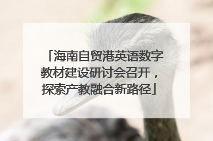 海南自贸港英语数字教材建设研讨会召开，探索产教融合新路径