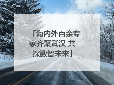 海内外百余专家齐聚武汉 共探数智未来
