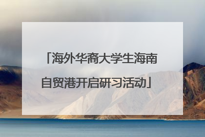 海外华裔大学生海南自贸港开启研习活动