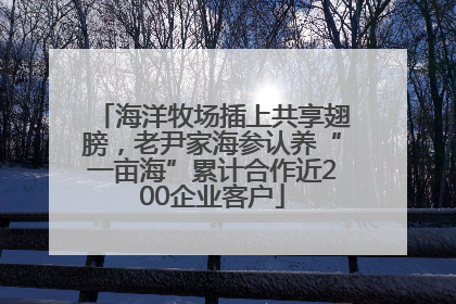海洋牧场插上共享翅膀，老尹家海参认养“一亩海”累计合作近200企业客户
