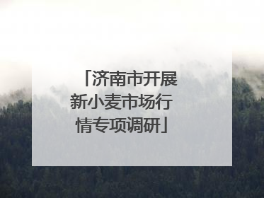 济南市开展新小麦市场行情专项调研