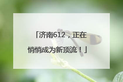 济南612，正在悄悄成为新顶流！