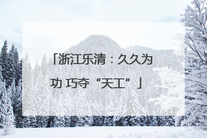 浙江乐清：久久为功 巧夺“天工”