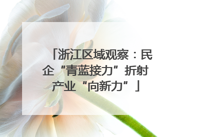 浙江区域观察：民企“青蓝接力”折射产业“向新力”