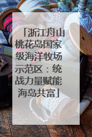 浙江舟山桃花岛国家级海洋牧场示范区：统战力量赋能海岛共富
