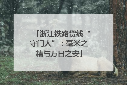 浙江铁路货线“守门人”：毫米之精与万日之安