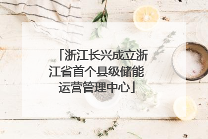 浙江长兴成立浙江省首个县级储能运营管理中心