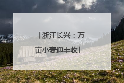 浙江长兴：万亩小麦迎丰收