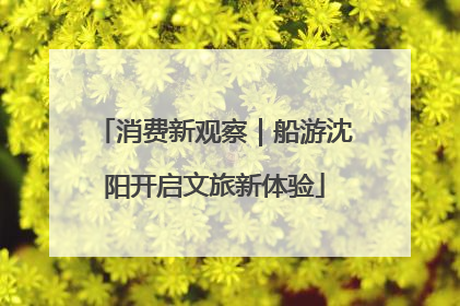 消费新观察｜船游沈阳开启文旅新体验